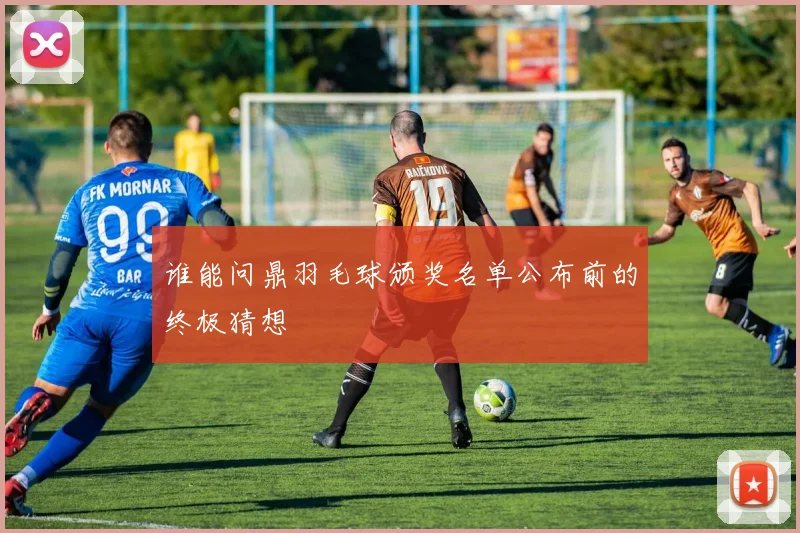 谁能问鼎羽毛球颁奖名单公布前的终极猜想