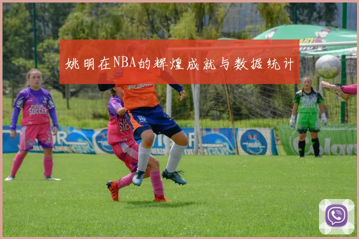 姚明在NBA的辉煌成就与数据统计