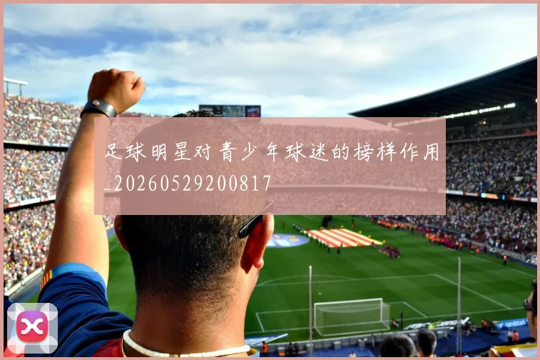 足球明星对青少年球迷的榜样作用_20260529200817