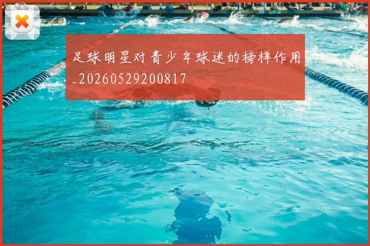 足球明星对青少年球迷的榜样作用_20260529200817